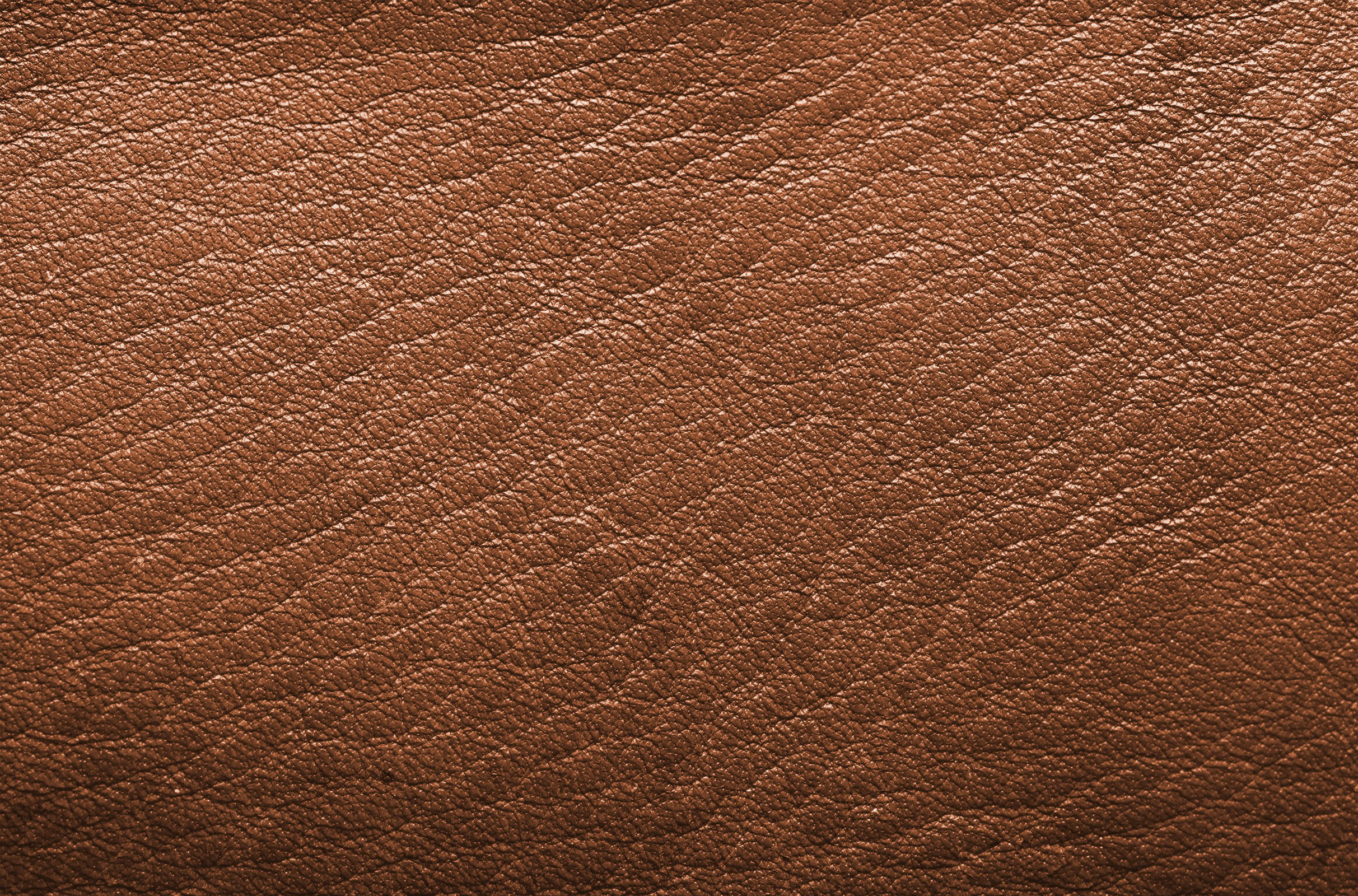 Brown Leather Texture